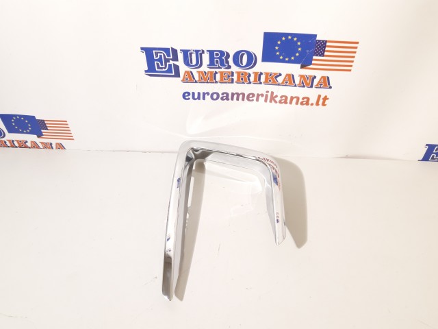 Trim Molding (left)